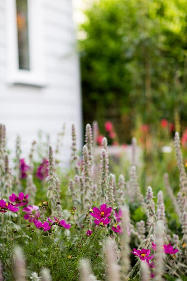 Coghill Cottage Whitianga Kültér fotó